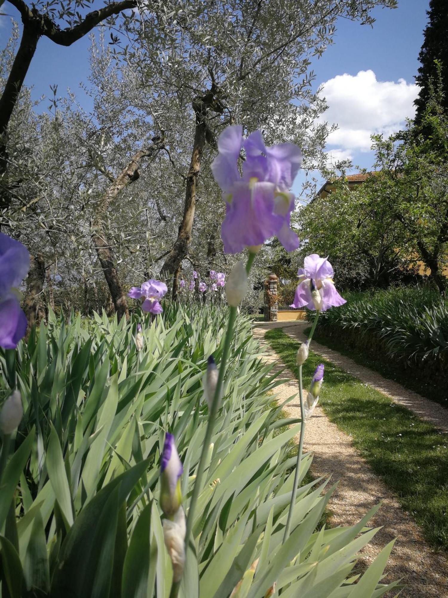 Podere San Giusto Figline Valdarno Bagian luar foto