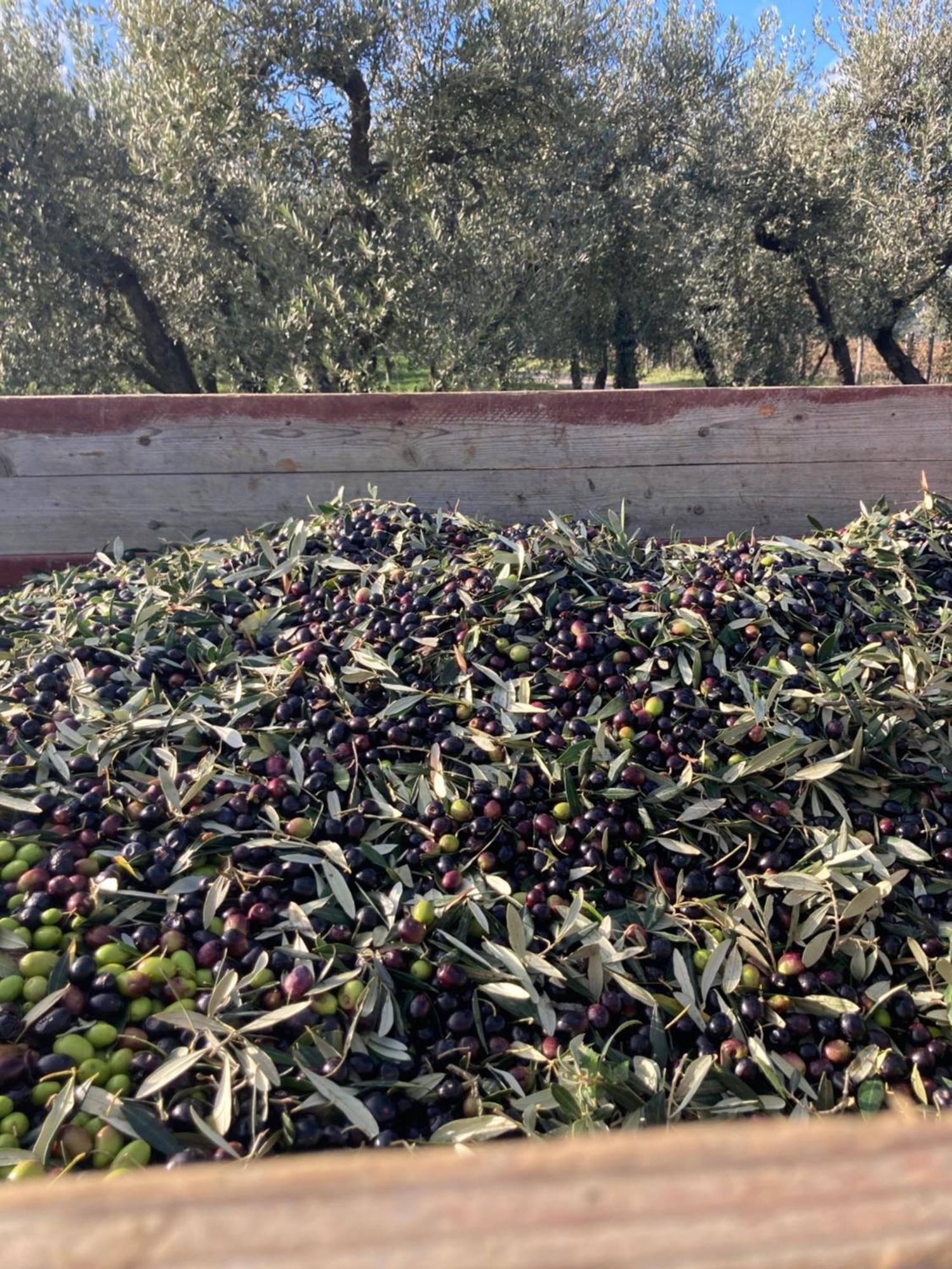 Podere San Giusto Figline Valdarno Bagian luar foto